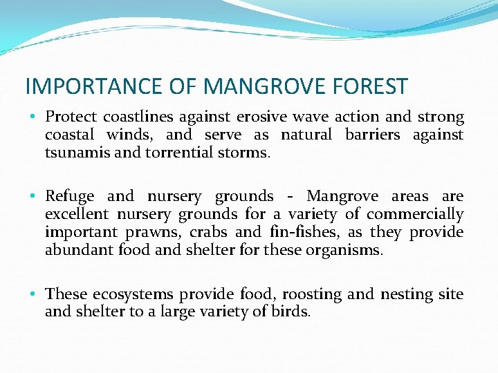IMPORTANCE OF MANGROVE FOREST • Protect coastlines against erosive wave action and strong coastal
