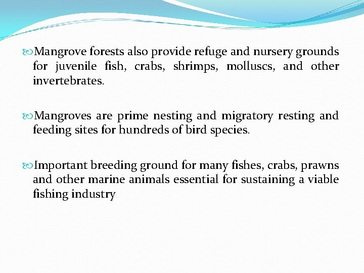  Mangrove forests also provide refuge and nursery grounds for juvenile fish, crabs, shrimps,