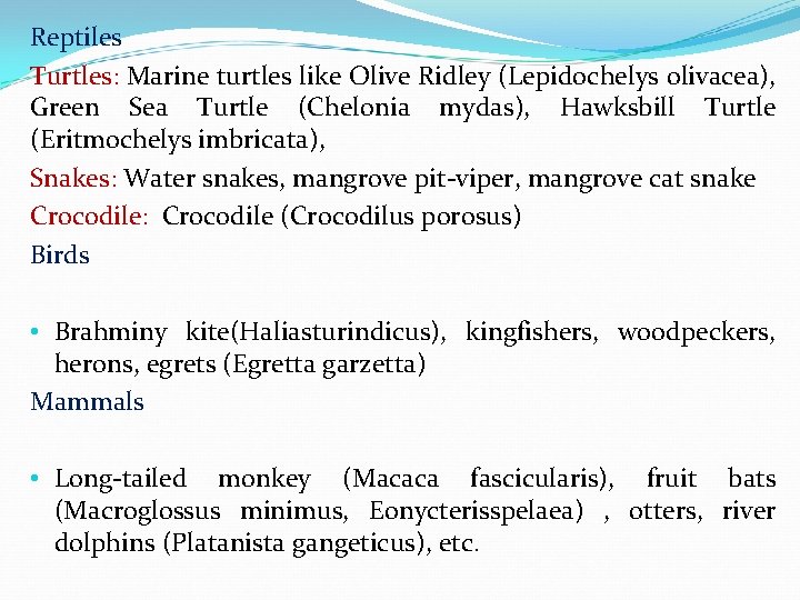 Reptiles Turtles: Marine turtles like Olive Ridley (Lepidochelys olivacea), Green Sea Turtle (Chelonia mydas),