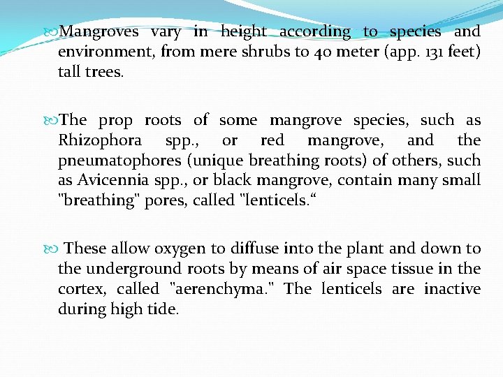  Mangroves vary in height according to species and environment, from mere shrubs to