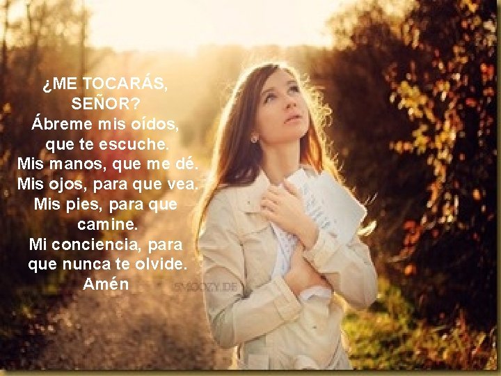 ¿ME TOCARÁS, SEÑOR? Ábreme mis oídos, que te escuche. Mis manos, que me dé.