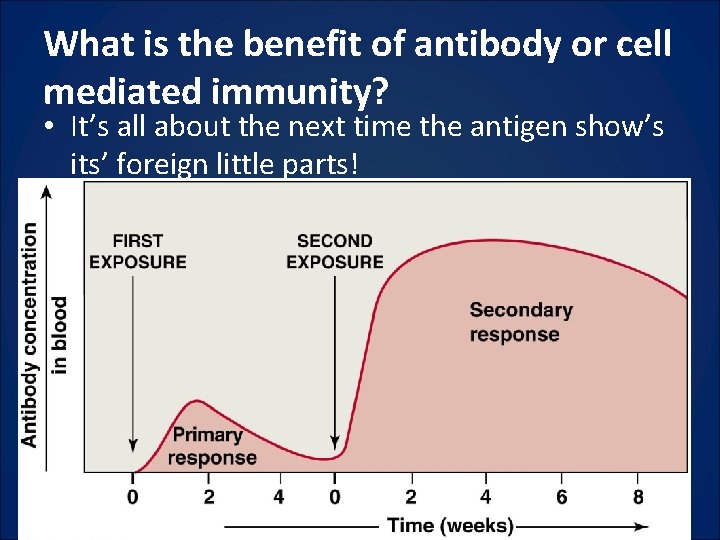 What is the benefit of antibody or cell mediated immunity? • It’s all about