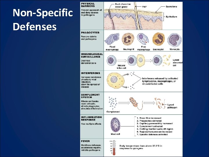 Non-Specific Defenses 