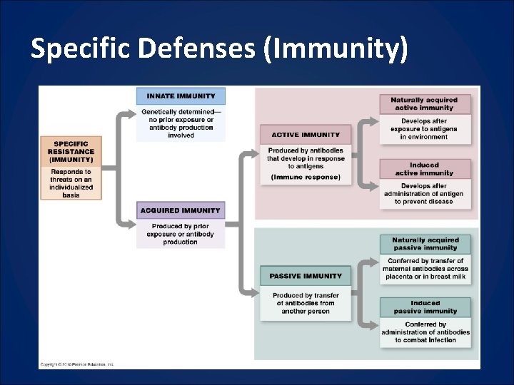 Specific Defenses (Immunity) 