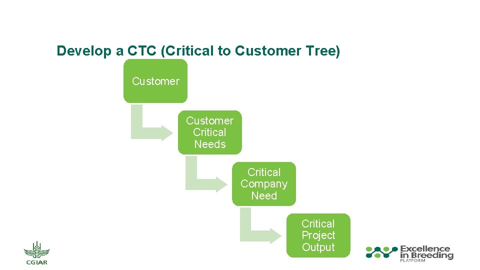 Develop a CTC (Critical to Customer Tree) Customer Critical Needs Critical Company Need Critical