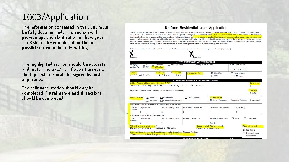 1003/Application The information contained in the 1003 must be fully documented. This section will 1003/Application The information contained in the 1003 must be fully documented. This section will