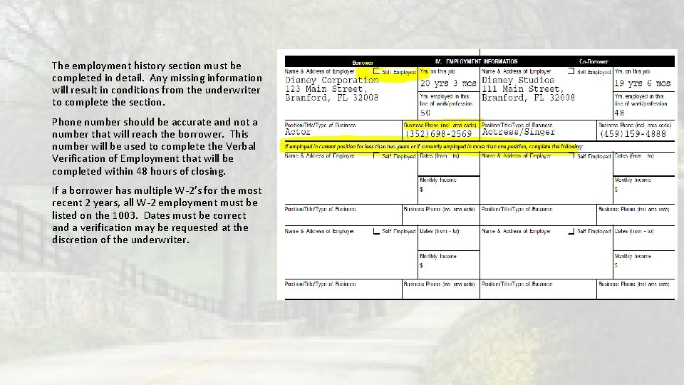 The employment history section must be completed in detail. Any missing information will result The employment history section must be completed in detail. Any missing information will result
