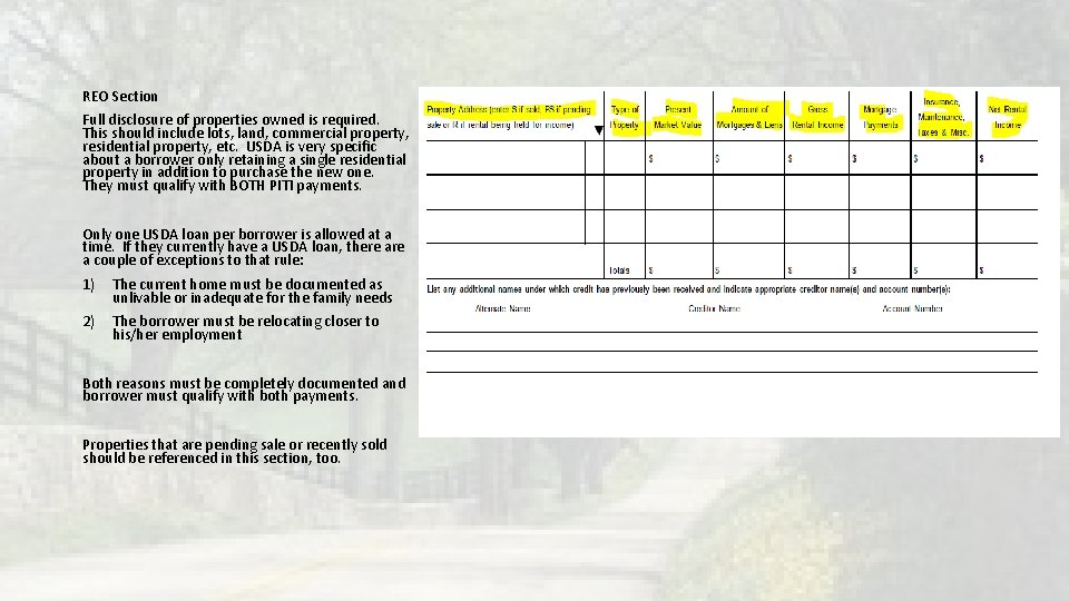 REO Section Full disclosure of properties owned is required. This should include lots, land, REO Section Full disclosure of properties owned is required. This should include lots, land,