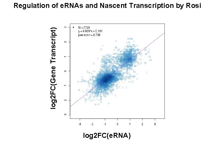 log 2 FC(Gene Transcript) Regulation of e. RNAs and Nascent Transcription by Rosi log