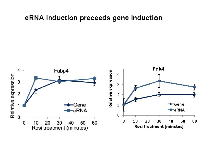 Relative expression e. RNA induction preceeds gene induction Pdk 4 4 3 2 Gene