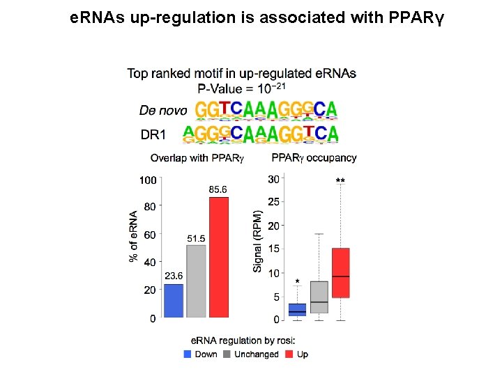 e. RNAs up-regulation is associated with PPARγ 