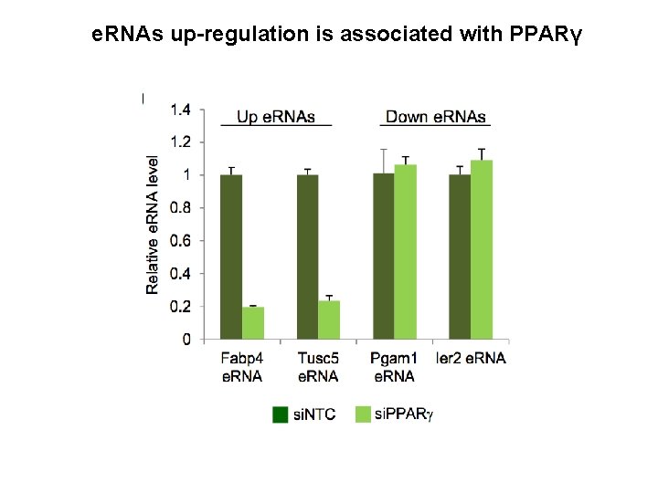 e. RNAs up-regulation is associated with PPARγ 