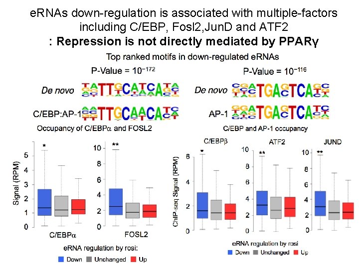 e. RNAs down-regulation is associated with multiple-factors including C/EBP, Fosl 2, Jun. D and