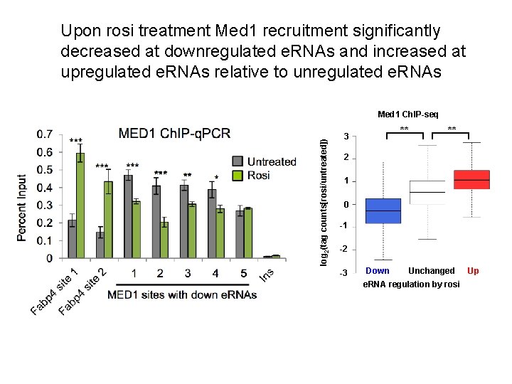 Upon rosi treatment Med 1 recruitment significantly decreased at downregulated e. RNAs and increased