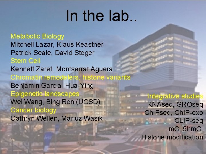 In the lab. . Metabolic Biology Mitchell Lazar, Klaus Keastner Patrick Seale, David Steger