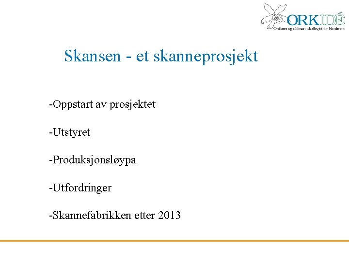 Skansen - et skanneprosjekt -Oppstart av prosjektet -Utstyret -Produksjonsløypa -Utfordringer -Skannefabrikken etter 2013 