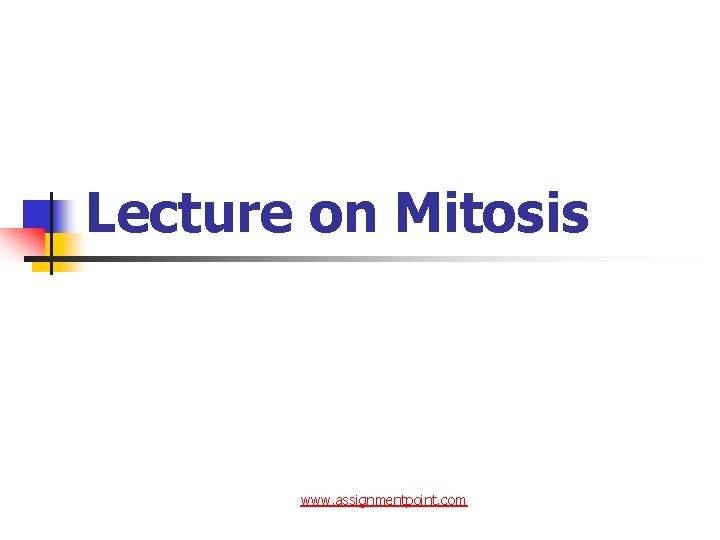 Lecture on Mitosis www. assignmentpoint. com 