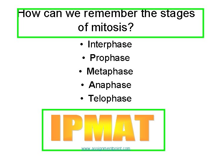 How can we remember the stages of mitosis? • Interphase • Prophase • Metaphase