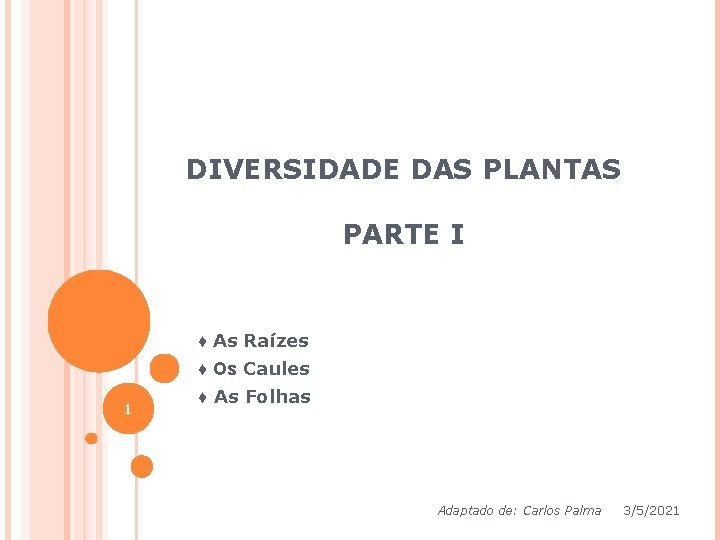 DIVERSIDADE DAS PLANTAS PARTE I ♦ As Raízes ♦ Os Caules 1 ♦ As DIVERSIDADE DAS PLANTAS PARTE I ♦ As Raízes ♦ Os Caules 1 ♦ As
