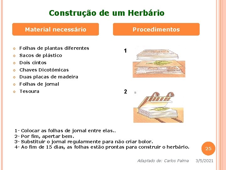 Construção de um Herbário Material necessário Folhas de plantas diferentes Sacos de plástico Dois Construção de um Herbário Material necessário Folhas de plantas diferentes Sacos de plástico Dois