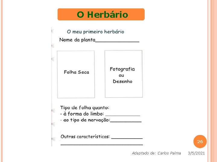 O Herbário 26 Adaptado de: Carlos Palma 3/5/2021 O Herbário 26 Adaptado de: Carlos Palma 3/5/2021