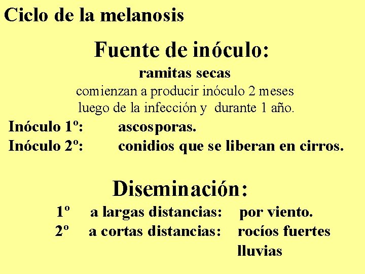 Ciclo de la melanosis Fuente de inóculo: ramitas secas comienzan a producir inóculo 2 Ciclo de la melanosis Fuente de inóculo: ramitas secas comienzan a producir inóculo 2