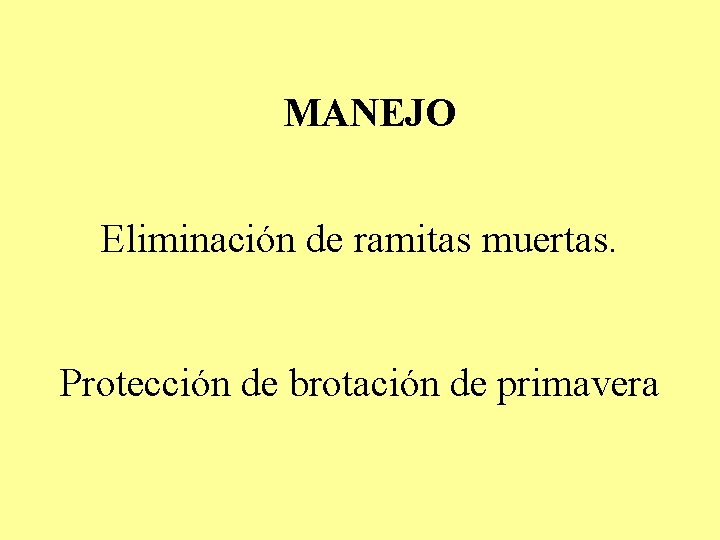MANEJO Eliminación de ramitas muertas. Protección de brotación de primavera MANEJO Eliminación de ramitas muertas. Protección de brotación de primavera