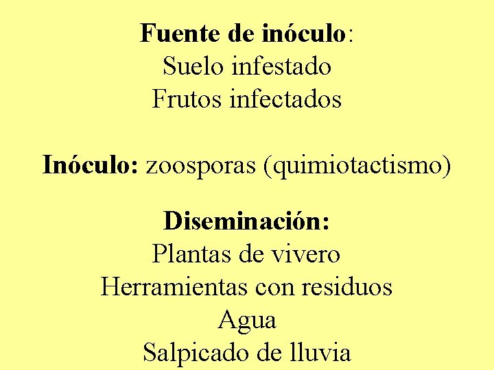Fuente de inóculo: Suelo infestado Frutos infectados Inóculo: zoosporas (quimiotactismo) Diseminación: Plantas de vivero Fuente de inóculo: Suelo infestado Frutos infectados Inóculo: zoosporas (quimiotactismo) Diseminación: Plantas de vivero