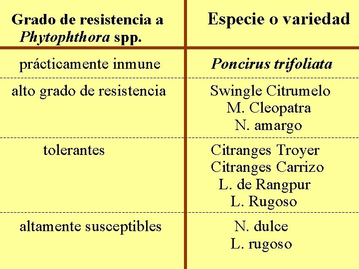 Grado de resistencia a Phytophthora spp. Especie o variedad prácticamente inmune Poncirus trifoliata alto Grado de resistencia a Phytophthora spp. Especie o variedad prácticamente inmune Poncirus trifoliata alto