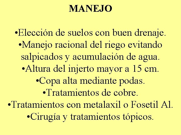 MANEJO • Elección de suelos con buen drenaje. • Manejo racional del riego evitando MANEJO • Elección de suelos con buen drenaje. • Manejo racional del riego evitando