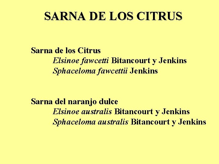 SARNA DE LOS CITRUS Sarna de los Citrus Elsinoe fawcetti Bitancourt y Jenkins Sphaceloma SARNA DE LOS CITRUS Sarna de los Citrus Elsinoe fawcetti Bitancourt y Jenkins Sphaceloma