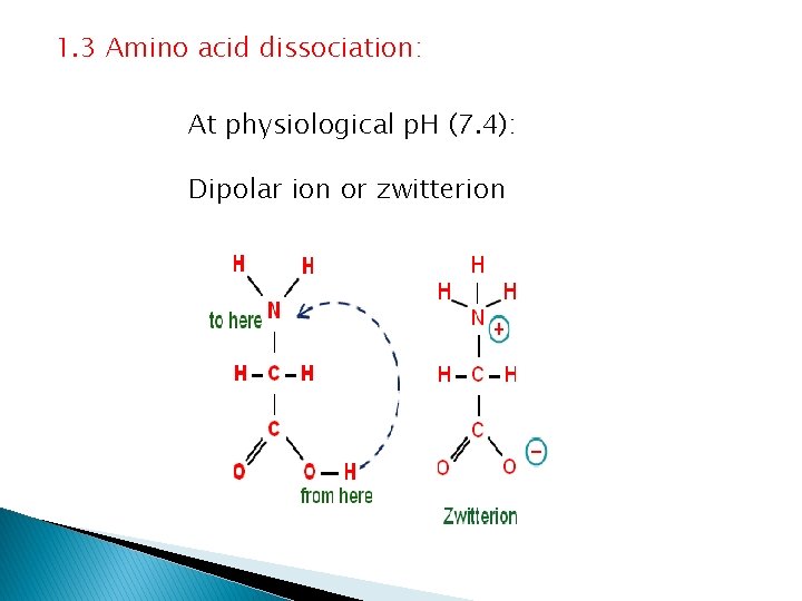 1. 3 Amino acid dissociation: At physiological p. H (7. 4): Dipolar ion or