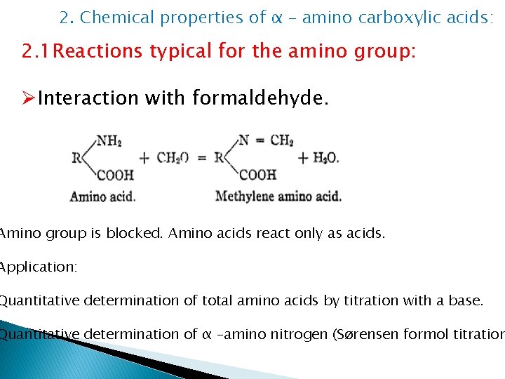 2. Chemical properties of α – amino carboxylic acids: 2. 1 Reactions typical for