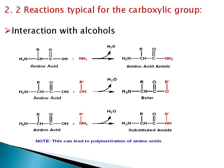 2. 2 Reactions typical for the carboxylic group: ØInteraction with alcohols 