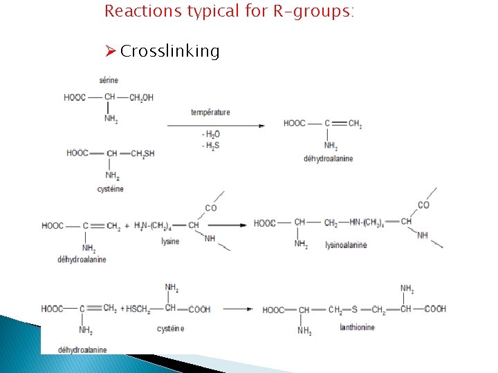 Reactions typical for R-groups: Ø Crosslinking 