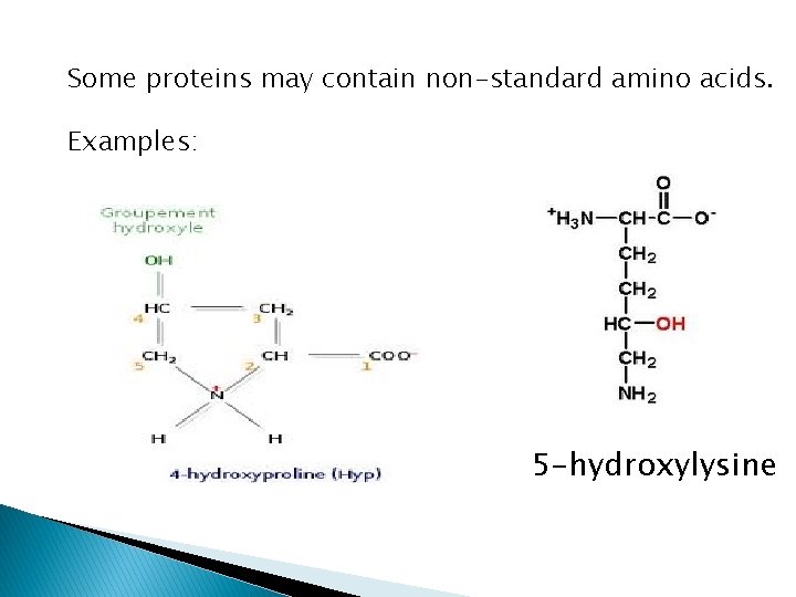 Some proteins may contain non-standard amino acids. Examples: 5 -hydroxylysine 
