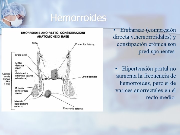 Hemorroides • Embarazo (compresión directa v. hemorroidales) y constipación crónica son predisponentes. • Hipertensión