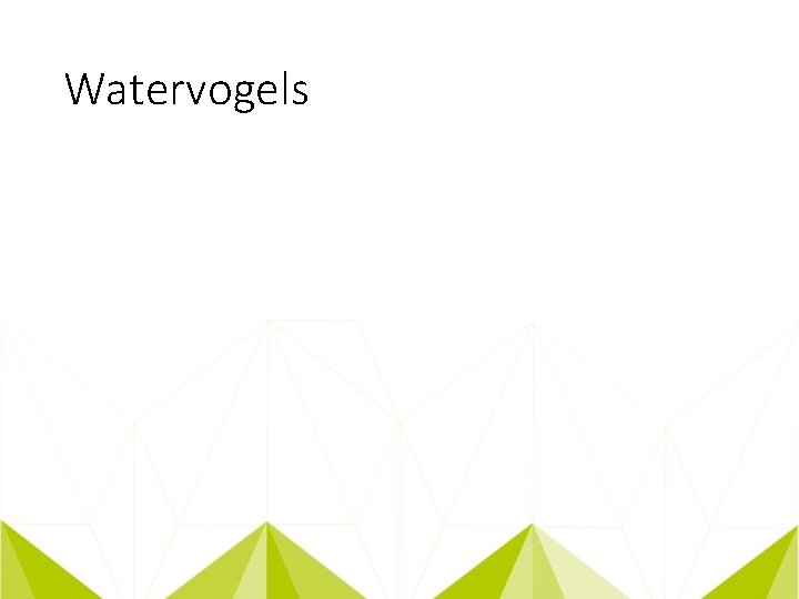 Watervogels 