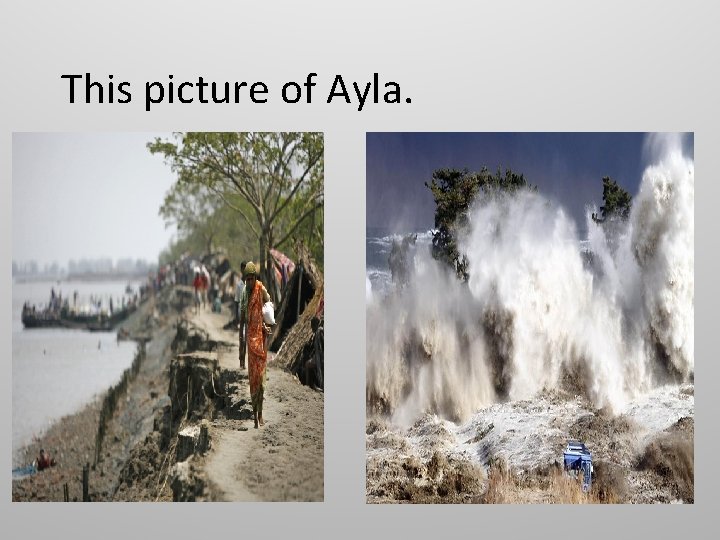 This picture of Ayla. 