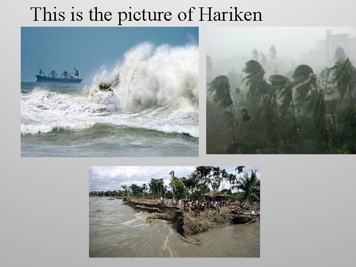 This is the picture of Hariken 