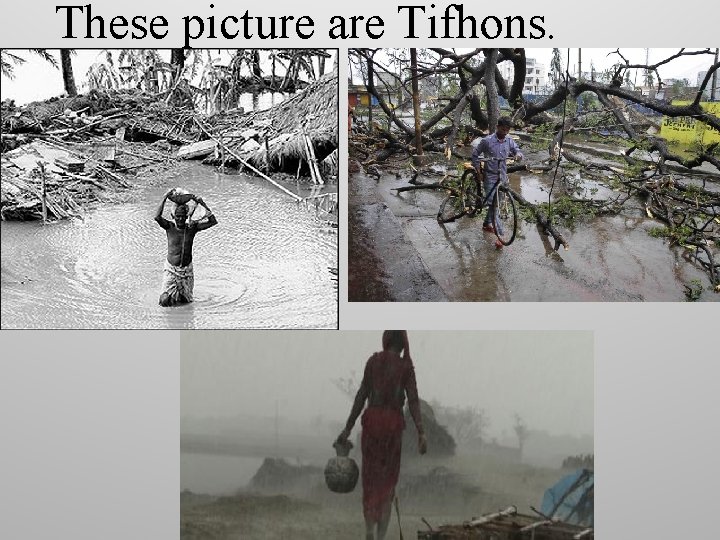 These picture are Tifhons. 