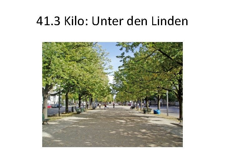 41. 3 Kilo: Unter den Linden 