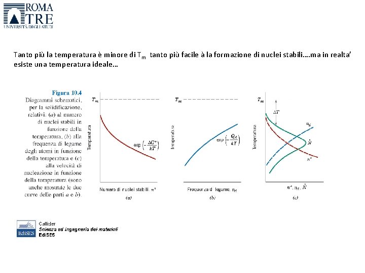 Tanto più la temperatura è minore di Tm tanto più facile à la formazione