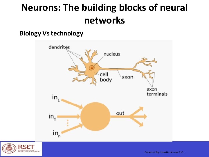 Neurons: The building blocks of neural networks Biology Vs technology 