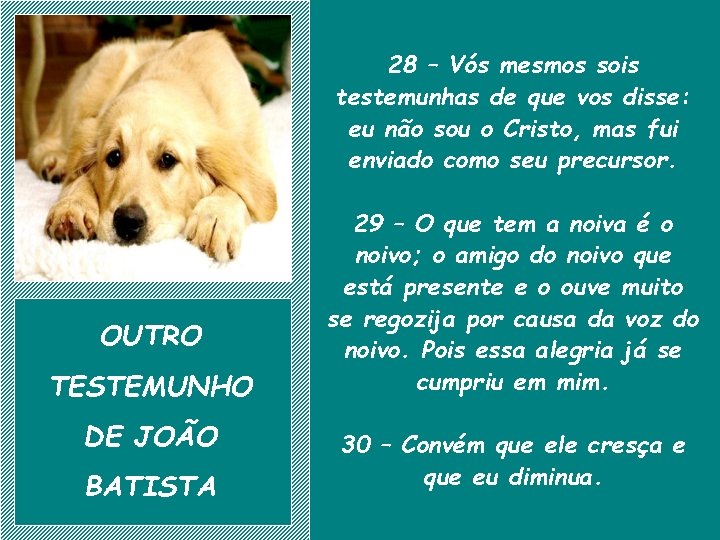 28 – Vós mesmos sois testemunhas de que vos disse: eu não sou o