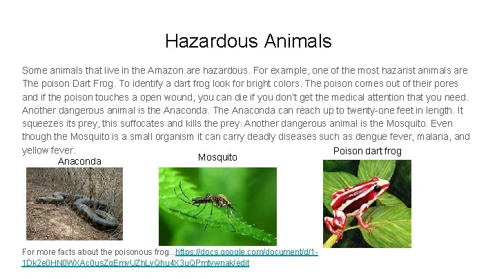 Hazardous Animals Some animals that live in the Amazon are hazardous. For example, one