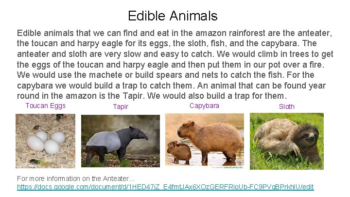 Edible Animals Edible animals that we can find and eat in the amazon rainforest