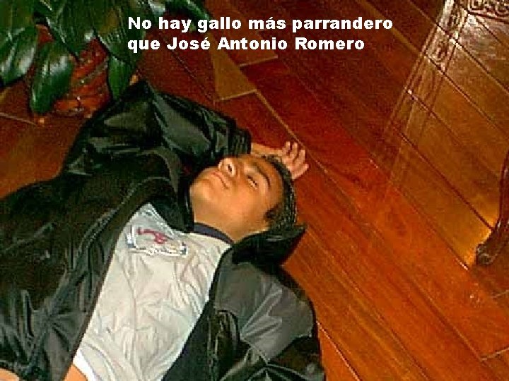 No hay gallo más parrandero que José Antonio Romero 