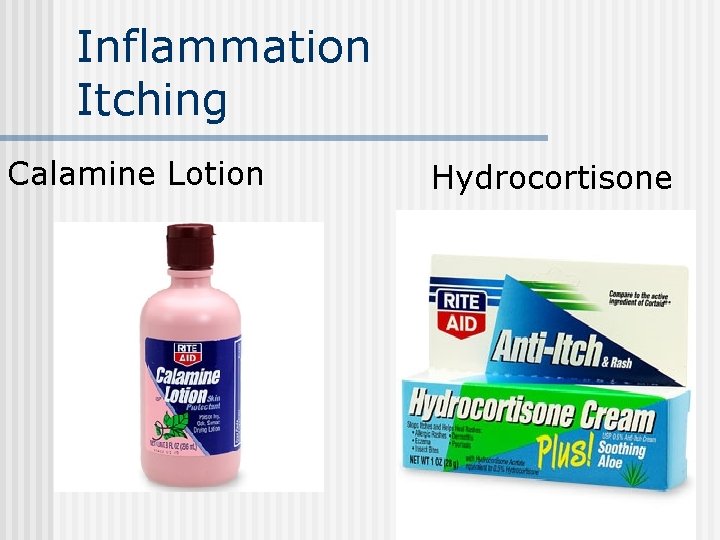 Inflammation Itching Calamine Lotion Hydrocortisone Inflammation Itching Calamine Lotion Hydrocortisone
