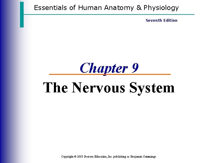 Essentials of Human Anatomy & Physiology Seventh Edition Chapter 9 The Nervous System Copyright